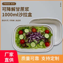 1000ML沙拉盒一次性餐盒水果打包盒露营野餐便当盒U型快餐轻食盒
