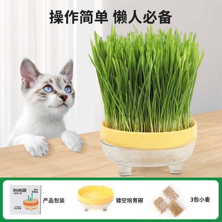 Z Pipi Tao Dundun Caja de hierba para gatos Juego de semillas de hierba para gatos hidropónica Crema para eliminar la piel para gatos Bola para quitar la piel Aperitivos para gatos