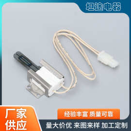 供应碳化硅高品质气体干燥器点火器烤箱点火器 WB13X25633点火针