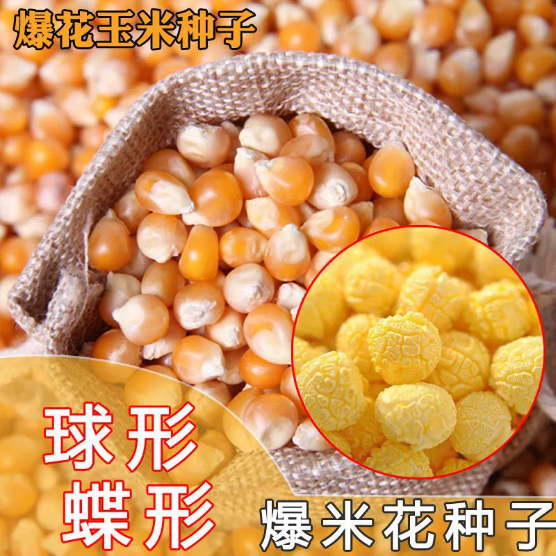 Хлопковые семена кукурузы сферические семена попкорна бабочка Попкорн сырье для попкорна мелкие кукурузные ядра семена полевых семян