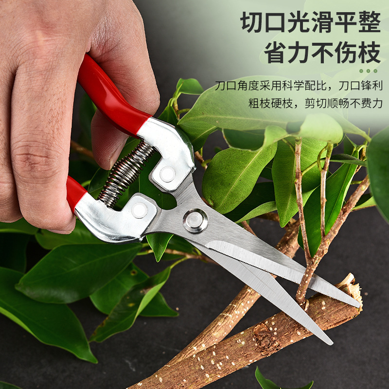 不锈钢修枝剪摘果剪园林园艺剪刀户外修枝剪树枝花枝剪刀阳江剪刀