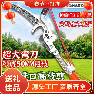 �߿���֦���M�ڸ�֦�������������޼���֦䏼Ӻ���s�U