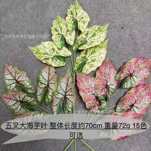 5������~ 3D�zƬ����Gֲ�G�~��Y�廨�쾰ֲ���Y����ܛ�b