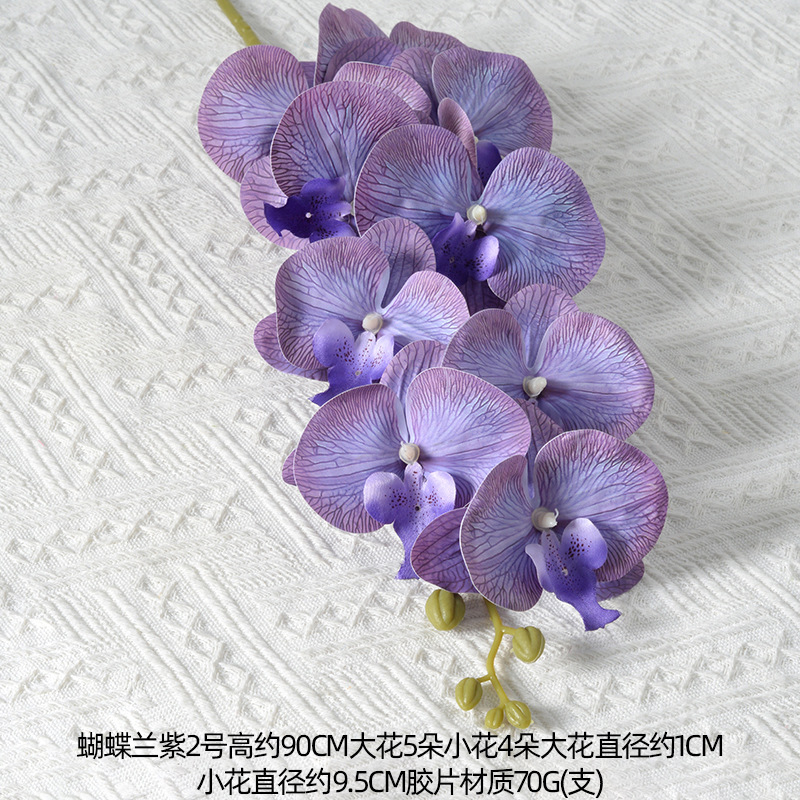 Película Phalaenopsis púrpura No. 2