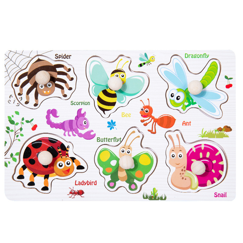 Insect model grabbing board