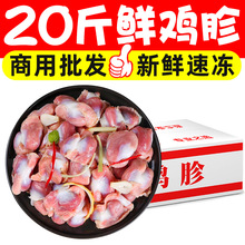 20斤新鲜冷冻生鲜鸡胗鸡内脏鸡杂鸡肫烧烤卤味餐饮食材商用批发