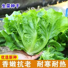 �ͺ���������˲������Ͷ��Ͷ���������������ඬ�����ָ߲�����