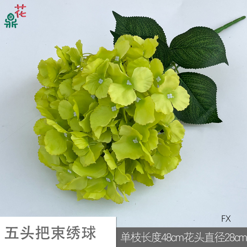 Five -headed hydrangea FX (two groups of leaves) green