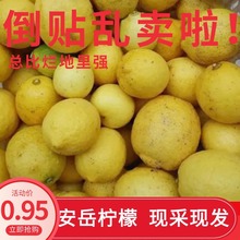 三级果瑕疵果安岳新鲜柠檬商用批发奶茶店压汁专用皮薄多汁现货