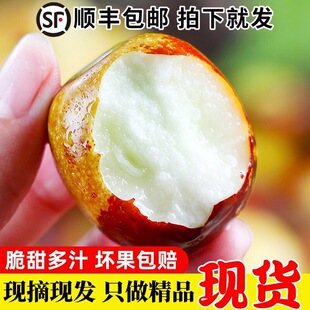 �������r��������ش��Ӽt��5�ﮔ��ˮ����S�a���������