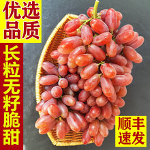 �L���o�ѿ˂����������r�ЋD�t����ˮ����������Ǿ޷���S���]