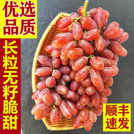 长粒无籽克伦生葡萄新鲜孕妇红提子水果当季整箱非巨峰顺丰包邮