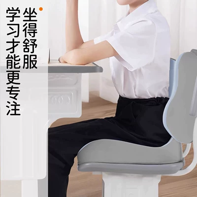 New Coccyx Pressure-Relief Memory Foam Cushion: Seat cushion, seat cover