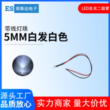 12V带线发光二极管5mm白发白色圆头高亮白光直插LED灯珠线长20cm