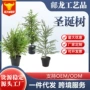 圣诞定制装饰品摆件圣诞树