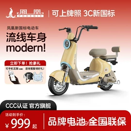 电动自行车;电动三轮车;摩托车坐垫