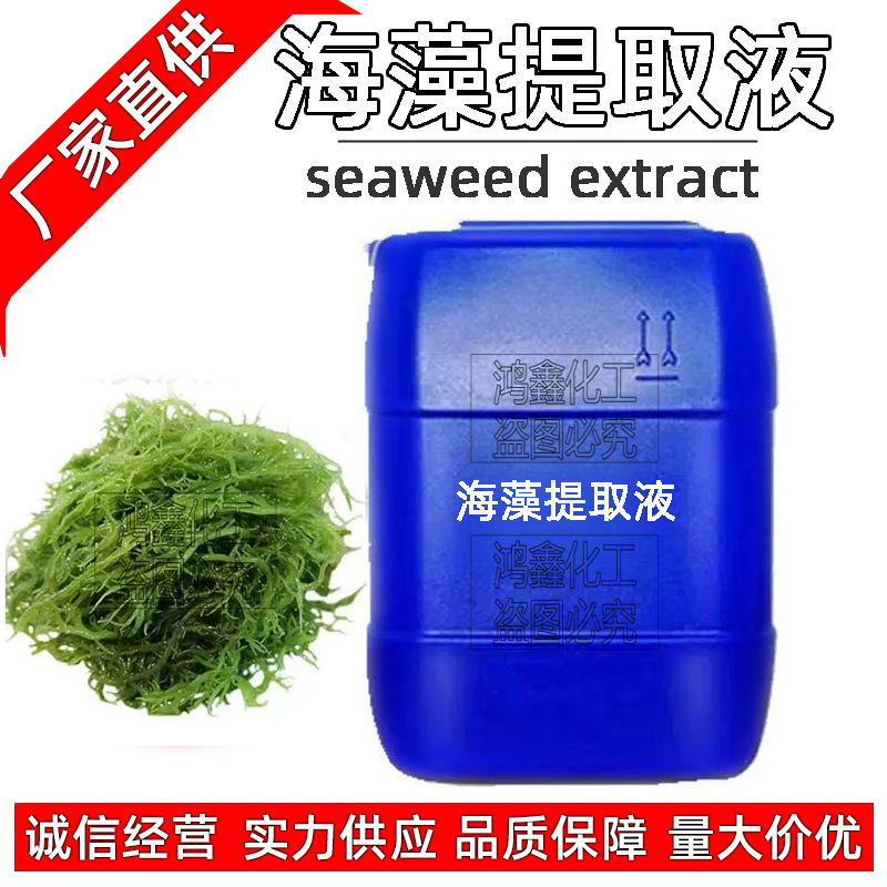 供应批发 国产提取液 海藻提取液 海藻胶原质 化妆品添加剂1KG订
