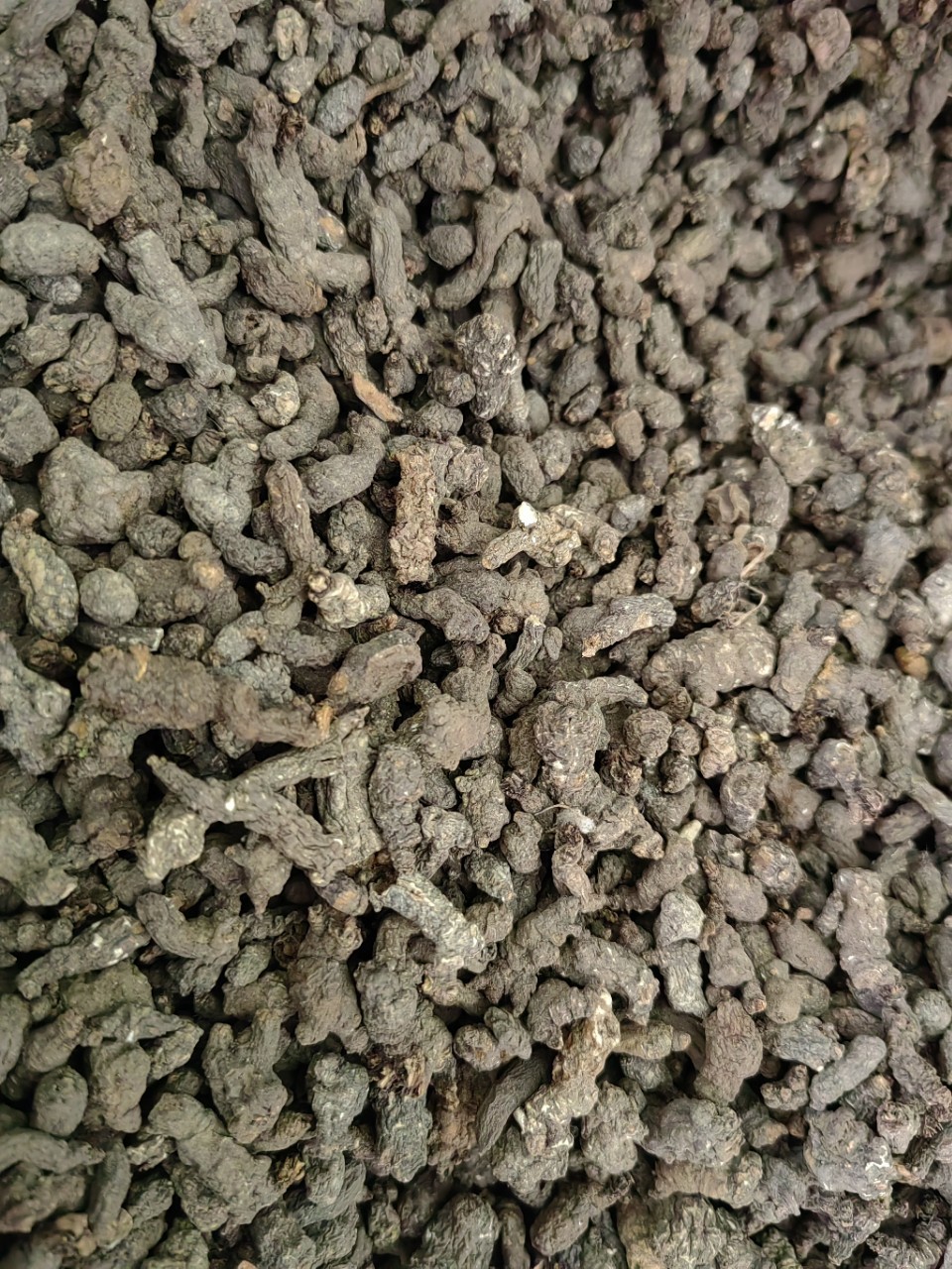 Tian Kui Zi (Semiaquilegia adoxoides) — Dried Food Herb Root, 500g in use