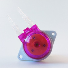 蠕动泵小型12V/24V 直流恒流泵泵头微型水泵循环小泵