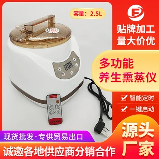 定做家用保健养生熏蒸机美容院汗蒸机升级款熏蒸仪多功能2.5L贴牌