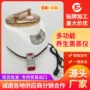 养生升级多功能定做熏蒸机