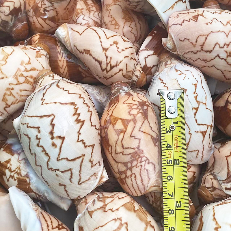 82ce5ff8a00bde16e78d0a03adf9d8