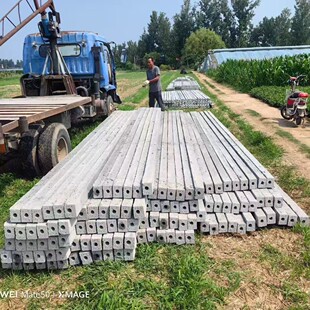 �������Ѽ� �J���� ����ˮ������ ˮ���� �߲˼ܹ��@ �u���