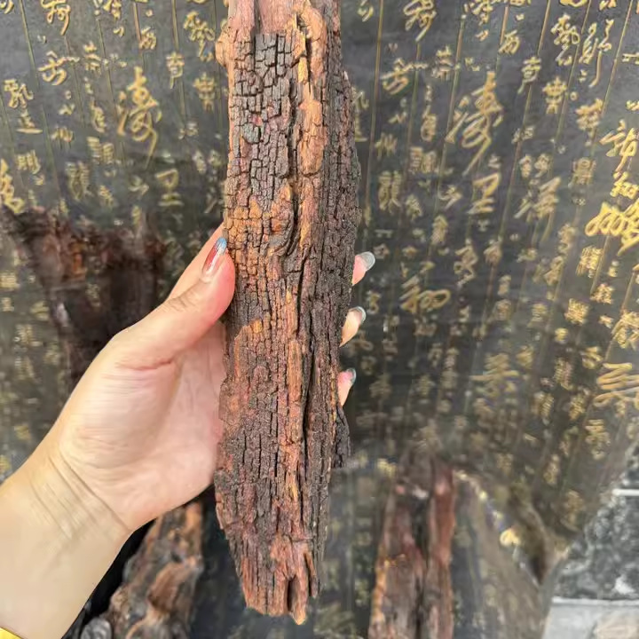 龍虎山旺年松雷打棗木原料天然木材雷晶は装飾品の台座工芸品を作ることができます。|undefined