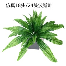 ����Gֲ18�^��˹�~�G�����^ֲ������ٲ�˹�����컨�b�ͥԺ