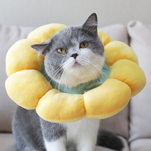 Pet cute cat headband, Elizabethan collar, adjustable sterilization collar, anti-licking shame circle, soft collar, waterproof