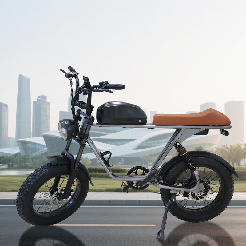 Cross-Border Electric Off-Road Bicycle 20inch with Inflatable Tires, 750W High Power, 48V13Ah, Front and Rear Disc Brakes Cross-Border Electric Off-Road Bicycle 20inch with Inflatable Tires, 750W High Power, 48V13Ah, Front and Rear Disc Brakes