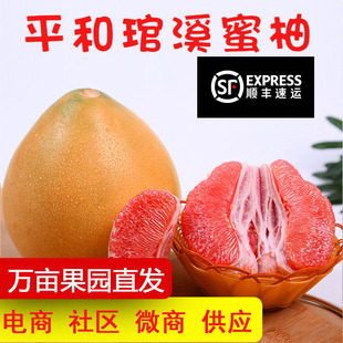 ��SԴ�^�t���������^�t�����t��Ϫ�gϪ�t���ֶY���������Ӵ��l