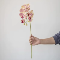 6 -Главный порошок