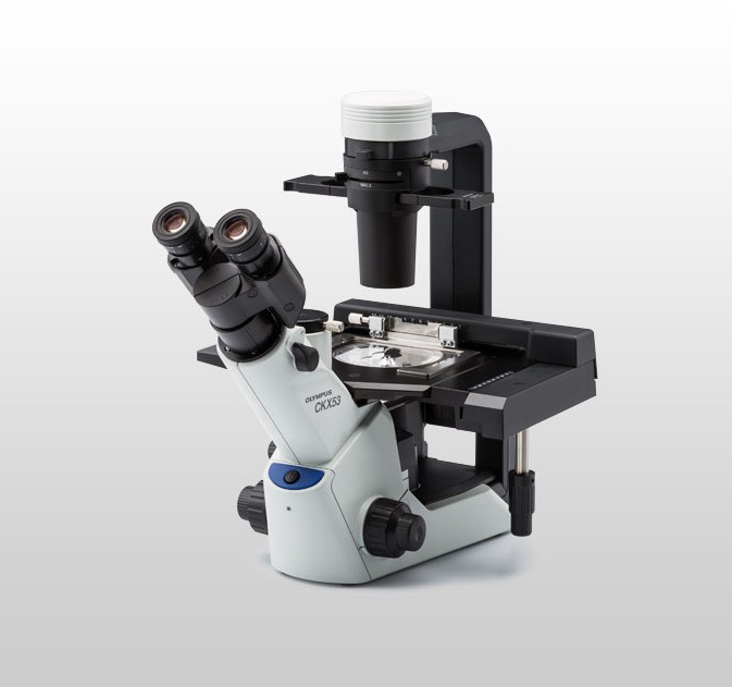 CKX53������΢�� ������ϸ����������΢�� ���ְ�˹