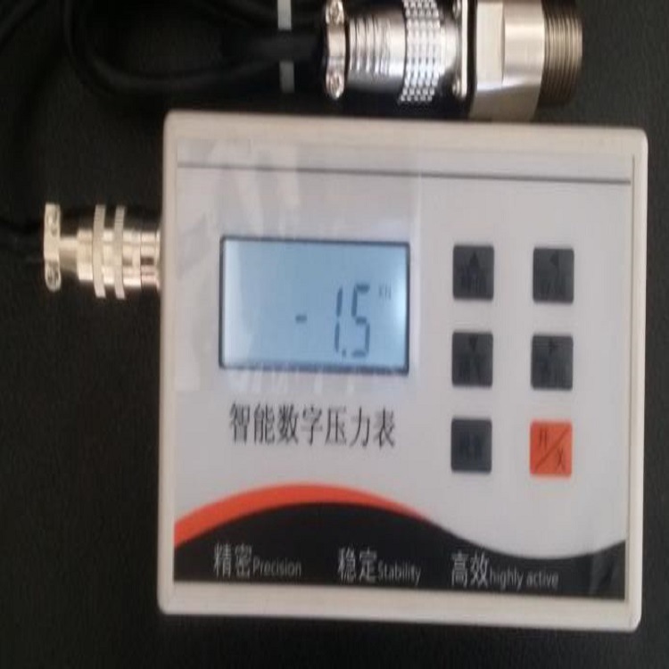 智能数字峰值保持仪（单通道） 型号:PD-2 库号：M372706