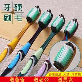 牙刷软毛成人家用独立包装中硬毛深层清洁高密度刷丝细丝鹏德