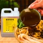 广西柳州特产餐饮螺丝粉
