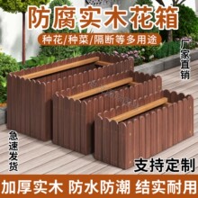 ����ľ�������Nֲ��̼���Ӻ�ľ�̨ͥԺ�L���λ��ۻ���N���l