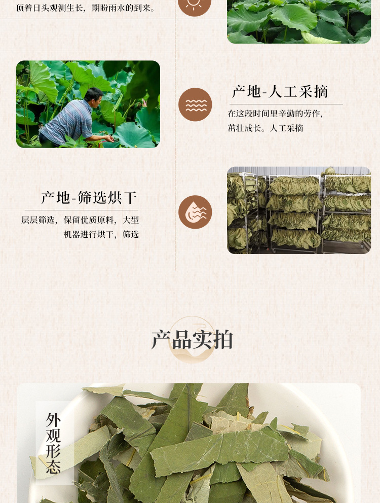 Dried Lotus Leaf He Ye 500g Natural Cut Herbal Tea Leaves for Brewing and Decoction quality and texture