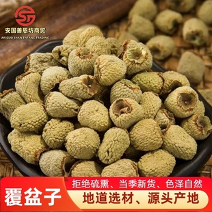 ���l��ș���rҰ�������Ӹ�؛500�� �o�����Ӹɹ��ݾ��ϸ��P�Ӳ�