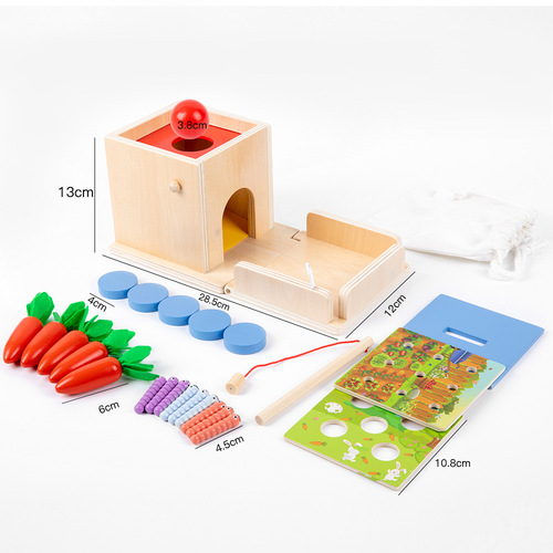 5 in 1 Montessori Wooden Permanent Box Coin Box Pull Carrot Shape Sorter Toddler Learning Toy