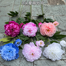 �¿����ĵ�����S��2�^����ĵ�� ��ɫ��ș��Yܛ�b�Ҿ��bٻ���