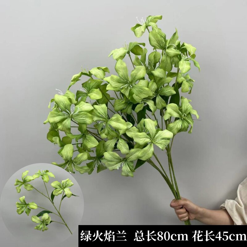 Green flame orchid