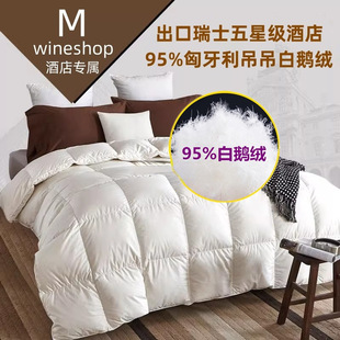 Export Five-Star Hotel down Quilt 95 White Goose down Quilt Winter Quilt Core Thickeneded Warm Spring & Fall Quilt Double