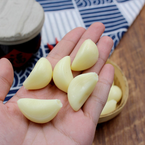 Factory PVC garlic clove small pepper simulation soybean sprouts green seedlings creative food toy model live broadcast accessories