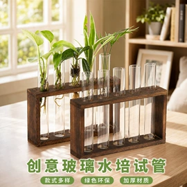 试管、滴管;实验室耗材;玻璃工艺品