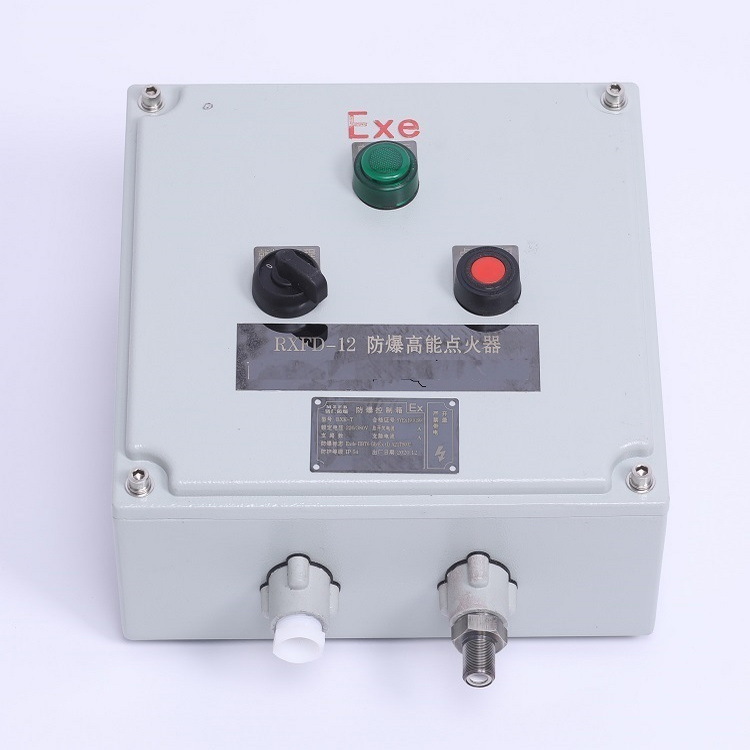 （价可议）防爆控制箱点火器型号DD12-RXFD12库号M406327