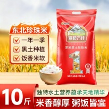 �|������10��������A��������10�ﵾ�����L�����׮����´��׾���