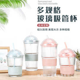 批发玻璃吸管杯大容量喝水伴手礼杯子高颜值带盖加厚果汁饮料水杯