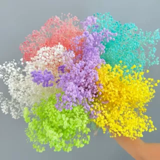 花者家居小清新装饰永生花花材永生梦幻星漂色小满天星花束批发